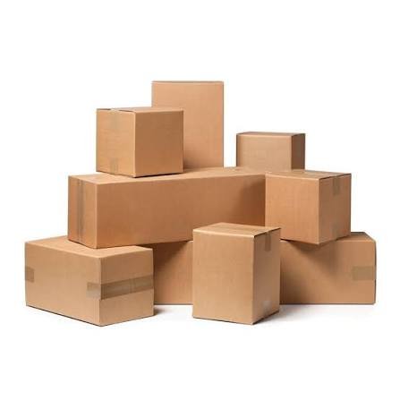 Carton (Packaging Box)